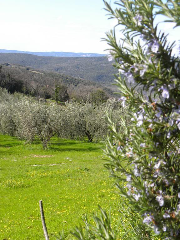Agriristoro Podere S. Andrea Massa Marittima Eksteriør bilde