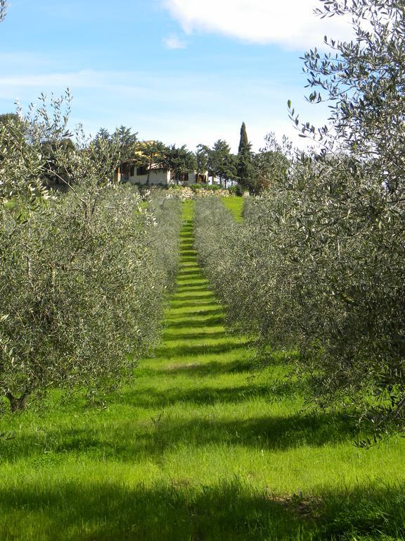 Agriristoro Podere S. Andrea Massa Marittima Eksteriør bilde