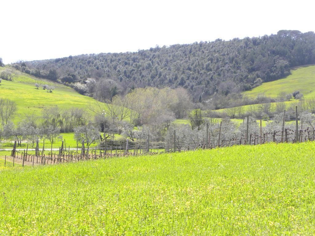 Agriristoro Podere S. Andrea Massa Marittima Eksteriør bilde