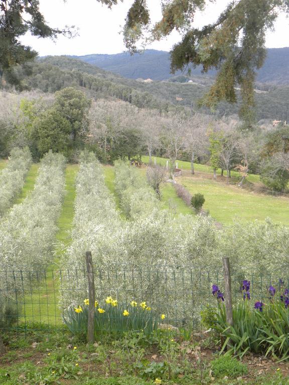 Agriristoro Podere S. Andrea Massa Marittima Eksteriør bilde