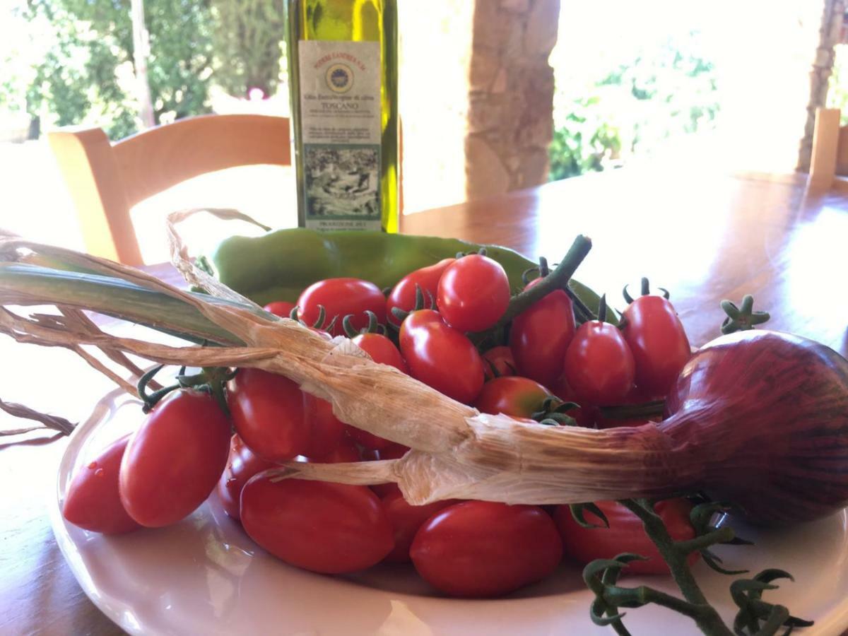Agriristoro Podere S. Andrea Massa Marittima Eksteriør bilde